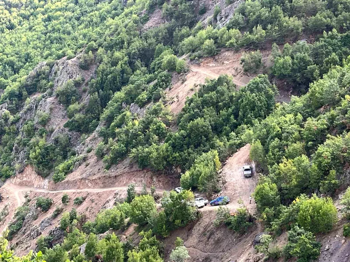 İspir'de Bitki Örtüsü Yangını Paniğe Neden Oldu